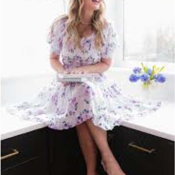 Ivy City Co Ellora - Picture 5 of 7